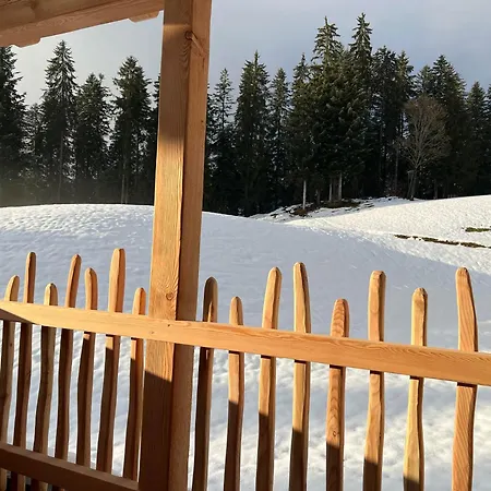 Finks Appartement Going am Wilden Kaiser Exterior photo
